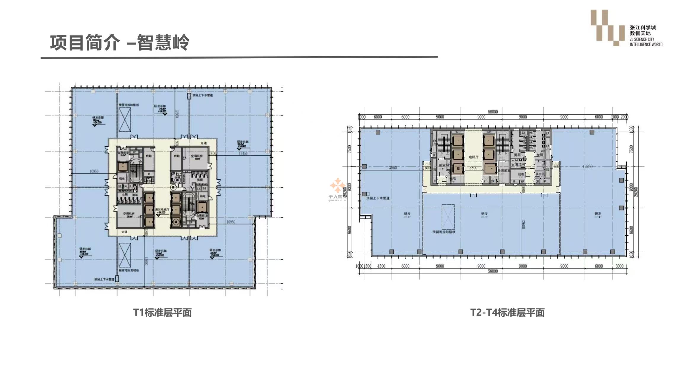 浦东 张江科学城数智天地·智慧岭 2500平米 简装