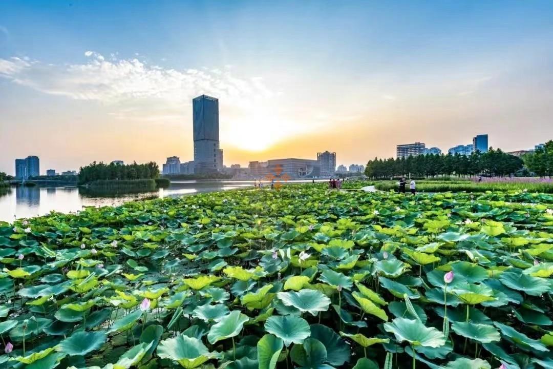 上海保利国际广场