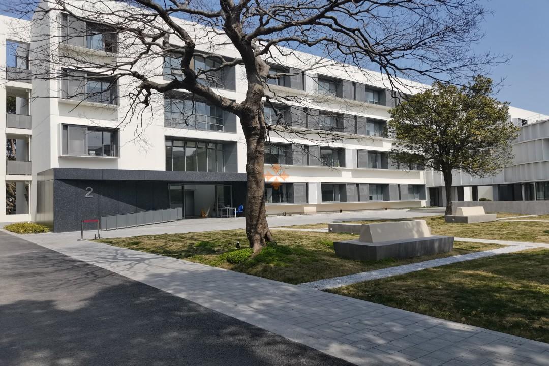 西岸Halo