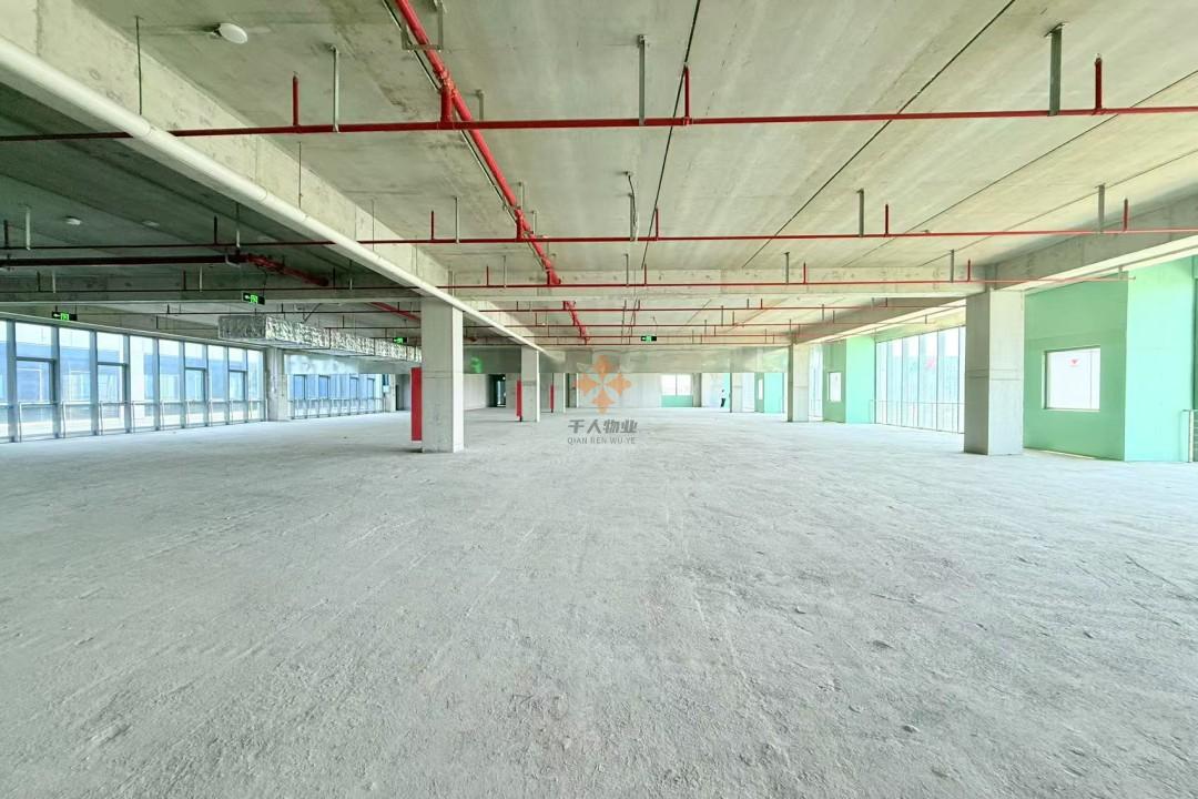 浦东 新展城XinPark新园 2500平米 简装