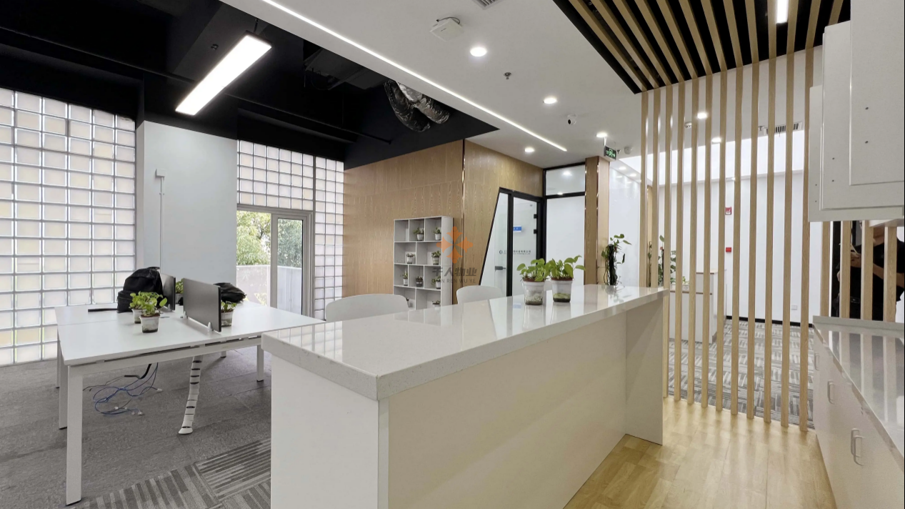 张江国创中心.png 张江国创中心.png