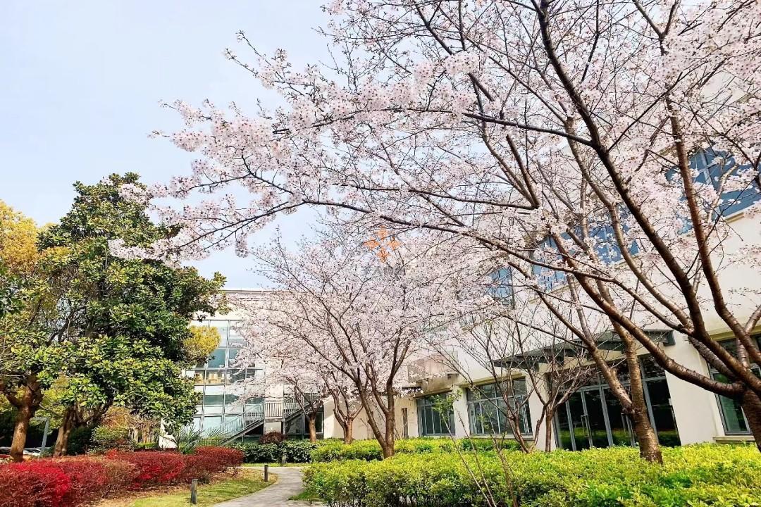 微信图片_20220604111852.jpg 微信图片_20220604111852.jpg