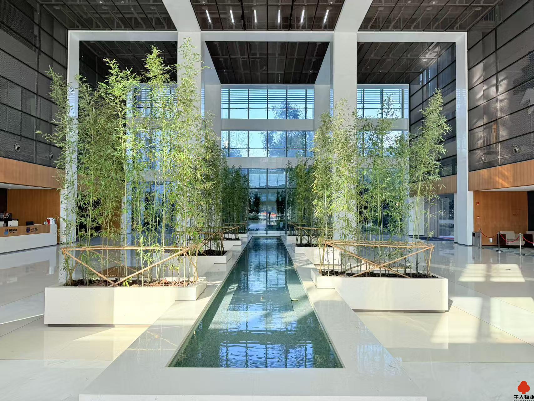 微信图片_20241231162037.jpg 微信图片_20241231162037.jpg