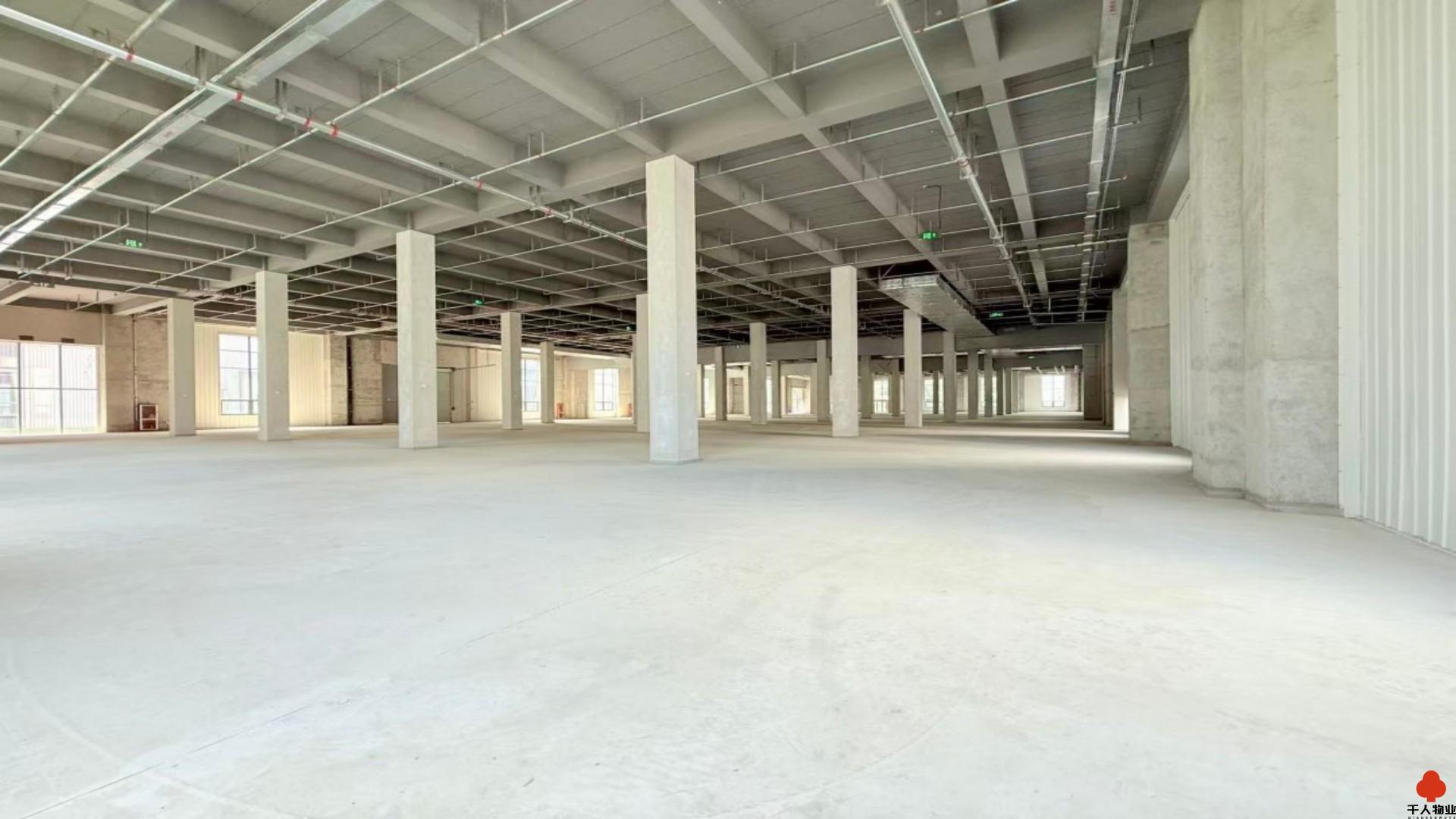浦东 金光数创园 11000平米 毛坯