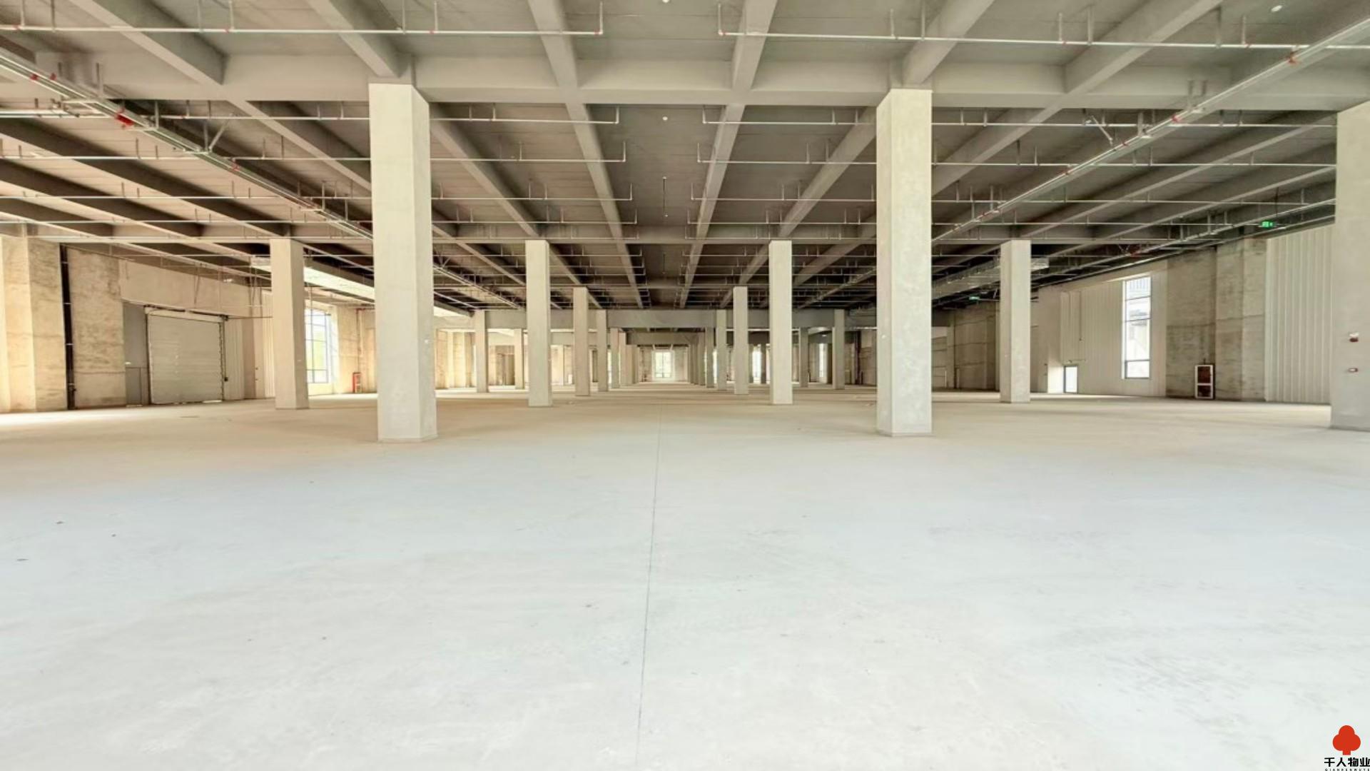 浦东 金光数创园 15000平米 毛坯
