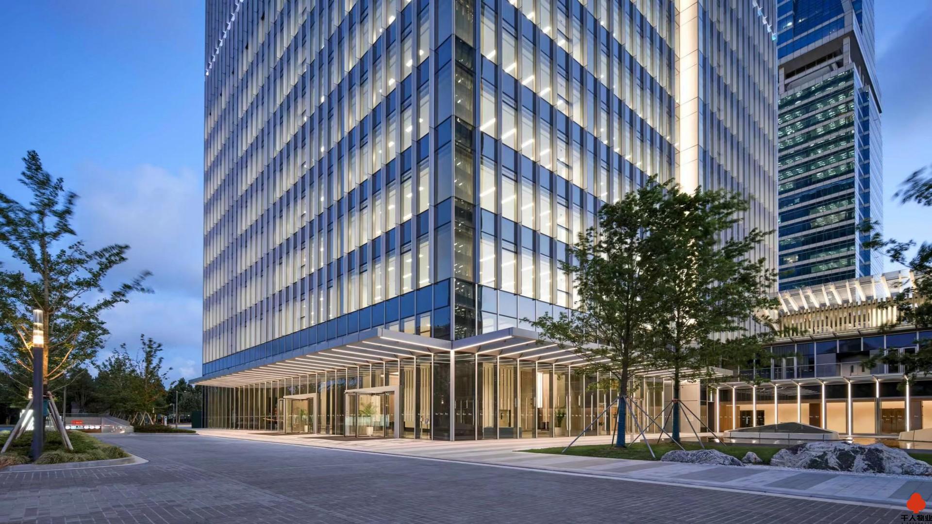 浦东 上海国际财富中心 800平米 标准装修