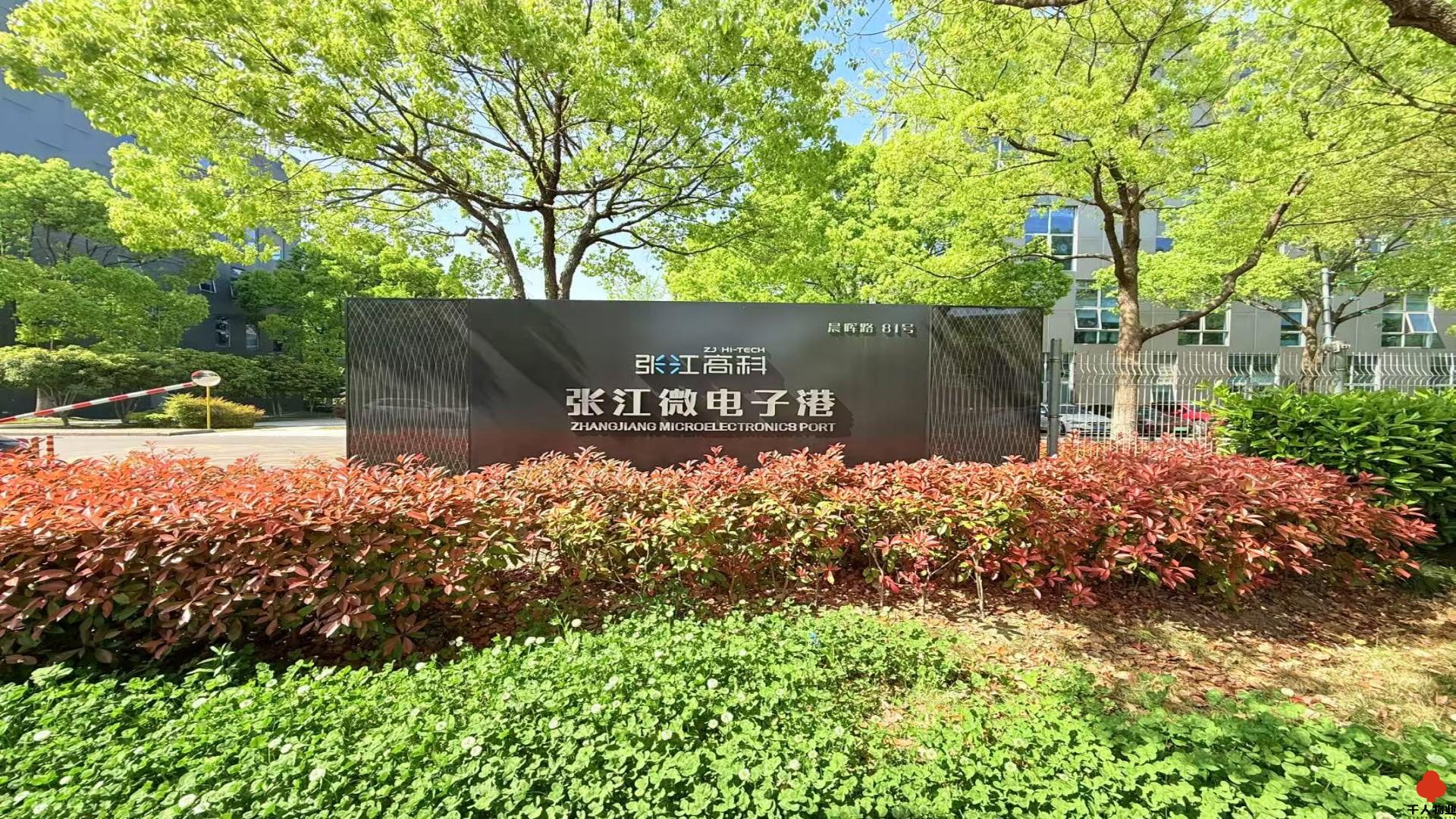 张江微电子港