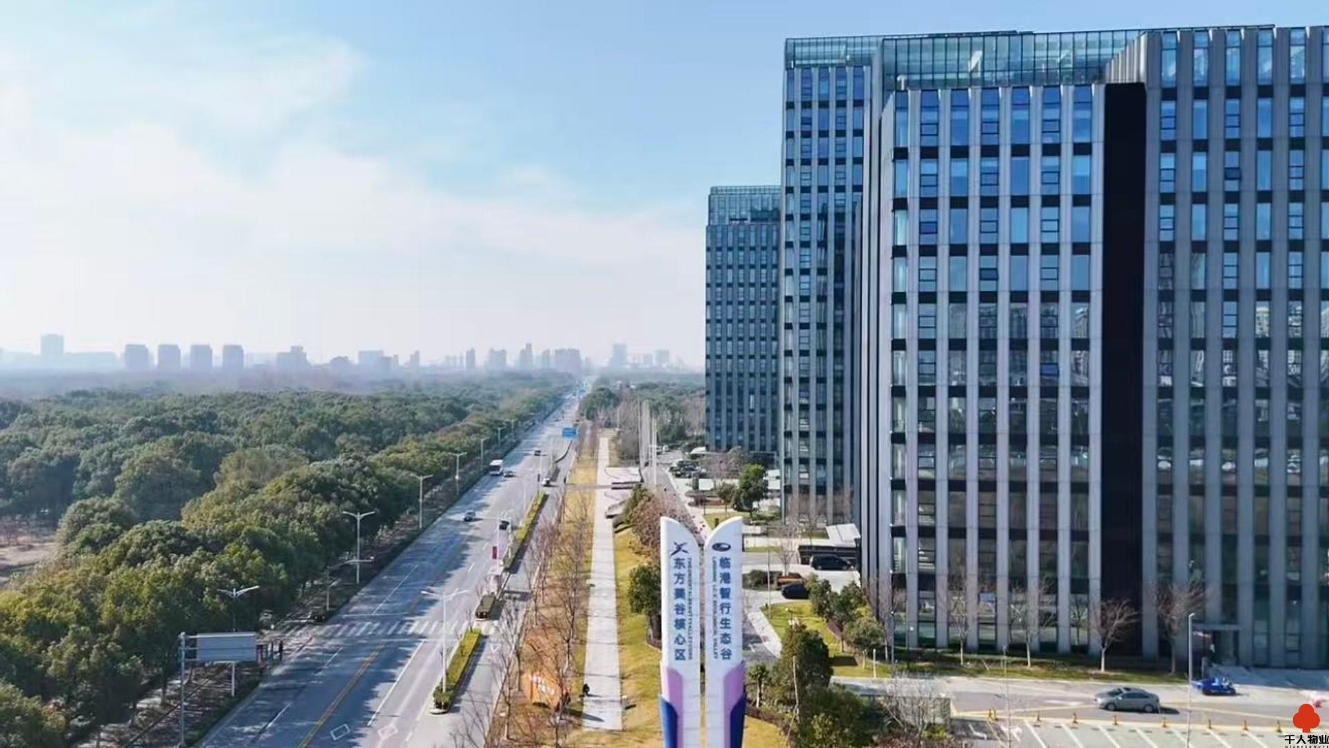 临港南桥科技城